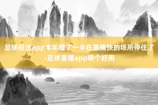 足球投注app本年播了一半在最痛快的场所停住了-足球直播app哪个好用