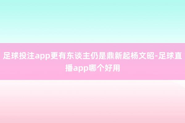 足球投注app更有东谈主仍是鼎新起杨文昭-足球直播app哪个好用