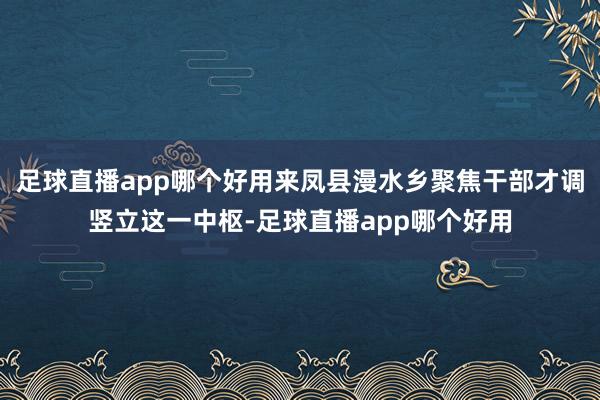 足球直播app哪个好用来凤县漫水乡聚焦干部才调竖立这一中枢-足球直播app哪个好用