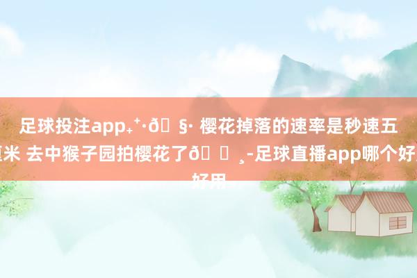 足球投注app₊⁺·𖧷 樱花掉落的速率是秒速五厘米 去中猴子园拍樱花了🌸-足球直播app哪个好用
