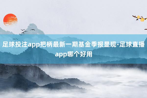 足球投注app把柄最新一期基金季报显现-足球直播app哪个好用
