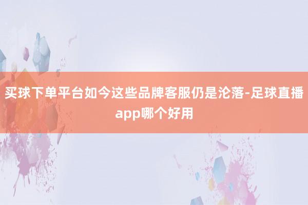 买球下单平台如今这些品牌客服仍是沦落-足球直播app哪个好用