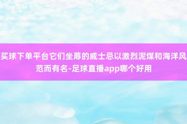 买球下单平台它们坐蓐的威士忌以激烈泥煤和海洋风范而有名-足球直播app哪个好用