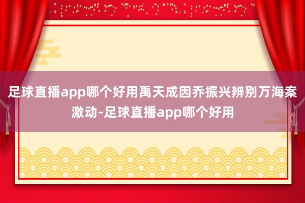 足球直播app哪个好用禹天成因乔振兴辨别万海案激动-足球直播app哪个好用