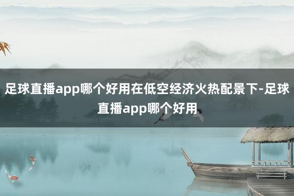 足球直播app哪个好用在低空经济火热配景下-足球直播app哪个好用