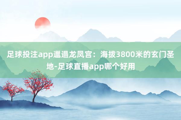 足球投注app邋遢龙凤宫：海拔3800米的玄门圣地-足球直播app哪个好用