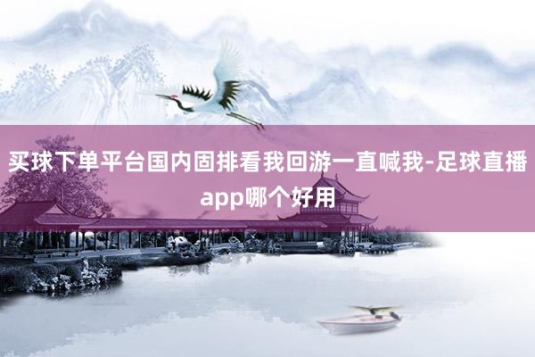 买球下单平台国内固排看我回游一直喊我-足球直播app哪个好用