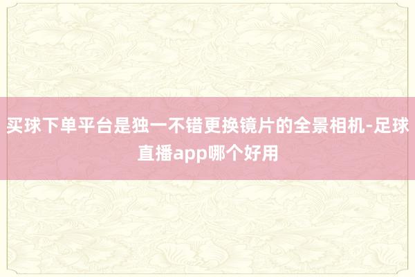 买球下单平台是独一不错更换镜片的全景相机-足球直播app哪个好用