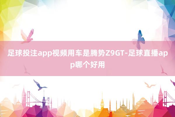足球投注app视频用车是腾势Z9GT-足球直播app哪个好用