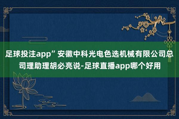 足球投注app”安徽中科光电色选机械有限公司总司理助理胡必亮说-足球直播app哪个好用