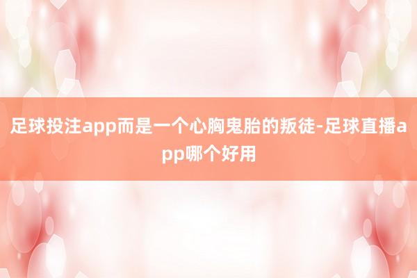 足球投注app而是一个心胸鬼胎的叛徒-足球直播app哪个好用