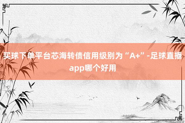 买球下单平台芯海转债信用级别为“A+”-足球直播app哪个好用