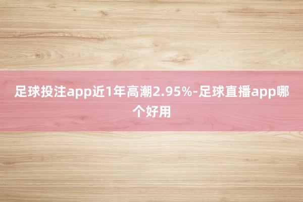 足球投注app近1年高潮2.95%-足球直播app哪个好用