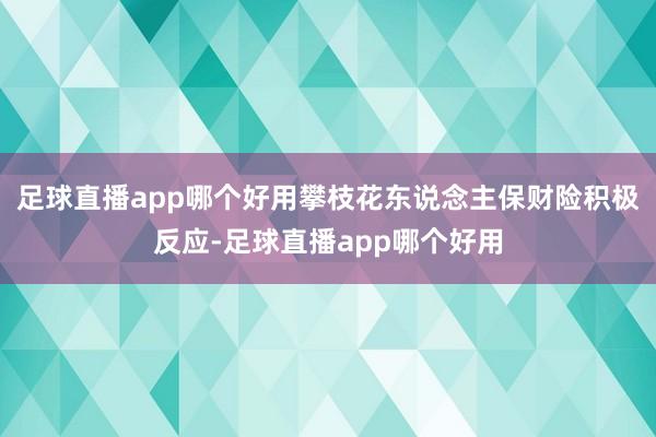 足球直播app哪个好用攀枝花东说念主保财险积极反应-足球直播app哪个好用