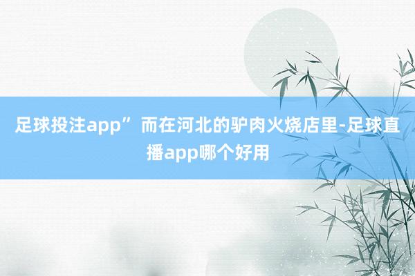 足球投注app” 而在河北的驴肉火烧店里-足球直播app哪个好用