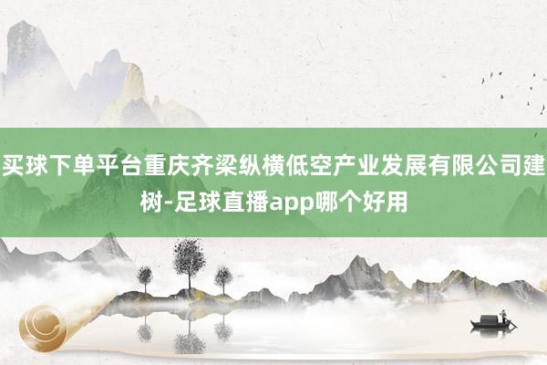 买球下单平台重庆齐梁纵横低空产业发展有限公司建树-足球直播app哪个好用