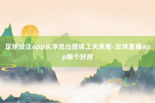足球投注app从净流出捏续工夫来看-足球直播app哪个好用