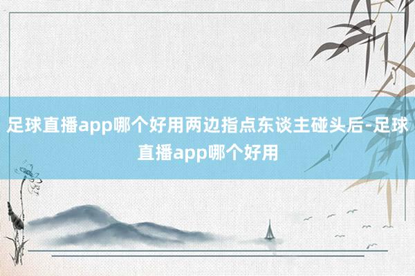 足球直播app哪个好用两边指点东谈主碰头后-足球直播app哪个好用