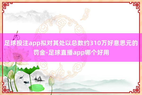 足球投注app拟对其处以总数约310万好意思元的罚金-足球直播app哪个好用