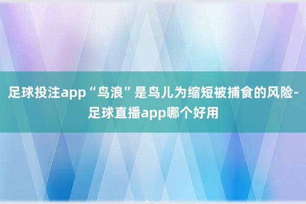 足球投注app“鸟浪”是鸟儿为缩短被捕食的风险-足球直播app哪个好用