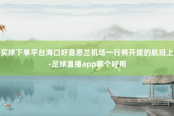 买球下单平台海口好意思兰机场一行将开拔的航班上-足球直播app哪个好用