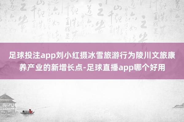 足球投注app刘小红摄　　冰雪旅游行为陵川文旅康养产业的新增长点-足球直播app哪个好用