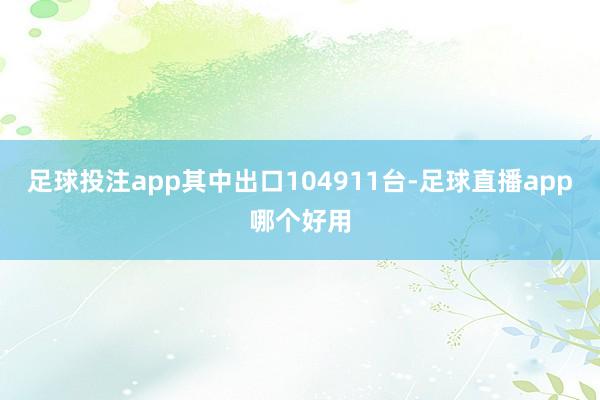 足球投注app其中出口104911台-足球直播app哪个好用