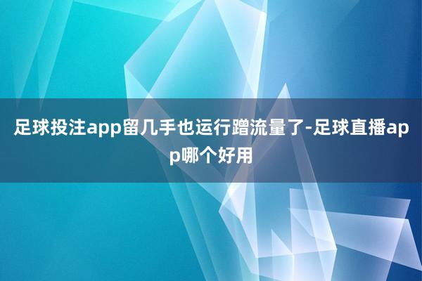足球投注app留几手也运行蹭流量了-足球直播app哪个好用