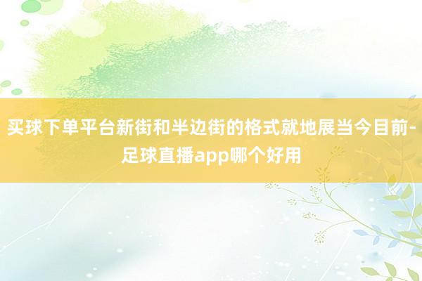 买球下单平台新街和半边街的格式就地展当今目前-足球直播app哪个好用