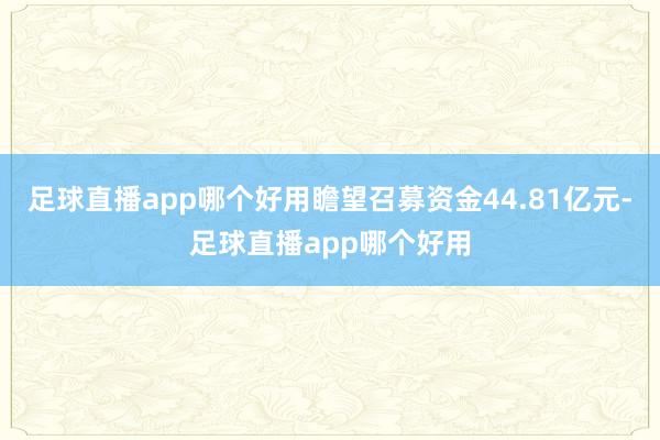 足球直播app哪个好用瞻望召募资金44.81亿元-足球直播app哪个好用