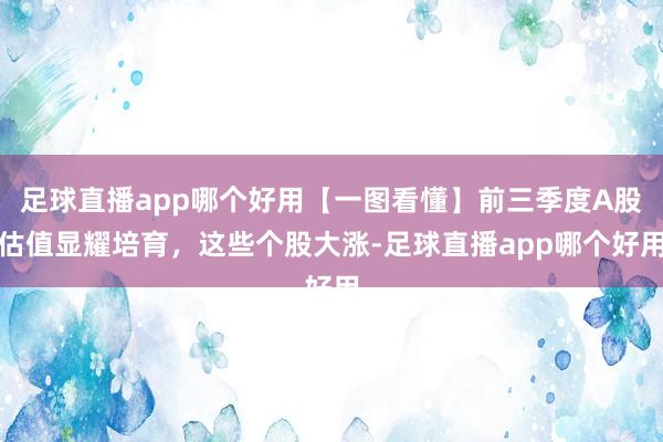 足球直播app哪个好用【一图看懂】前三季度A股估值显耀培育，这些个股大涨-足球直播app哪个好用