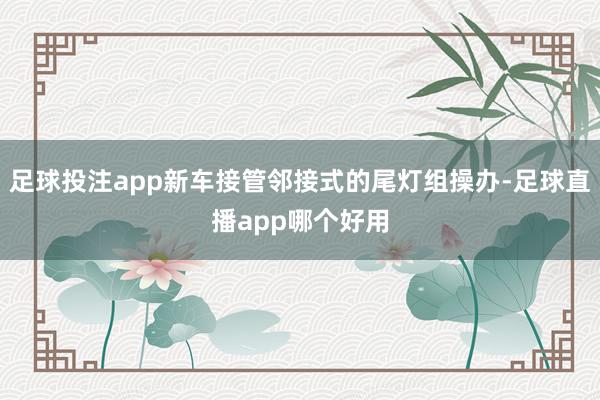 足球投注app新车接管邻接式的尾灯组操办-足球直播app哪个好用