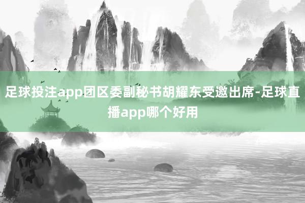 足球投注app团区委副秘书胡耀东受邀出席-足球直播app哪个好用