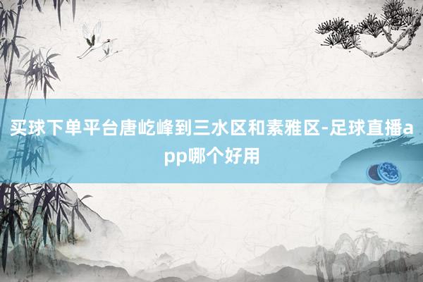 买球下单平台唐屹峰到三水区和素雅区-足球直播app哪个好用