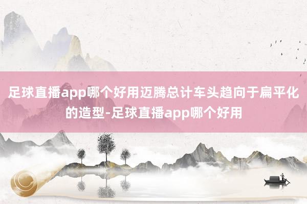 足球直播app哪个好用迈腾总计车头趋向于扁平化的造型-足球直播app哪个好用