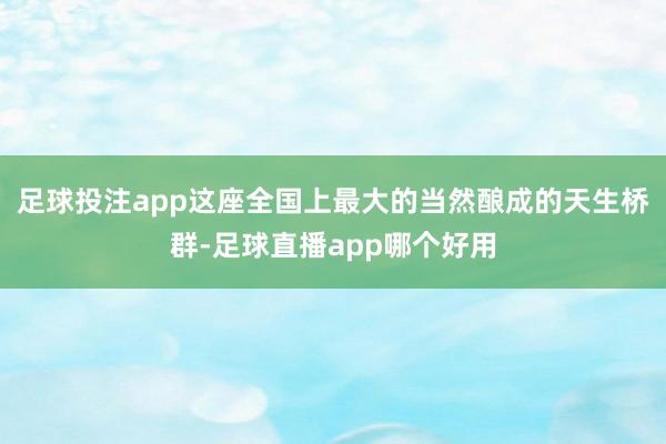 足球投注app这座全国上最大的当然酿成的天生桥群-足球直播app哪个好用