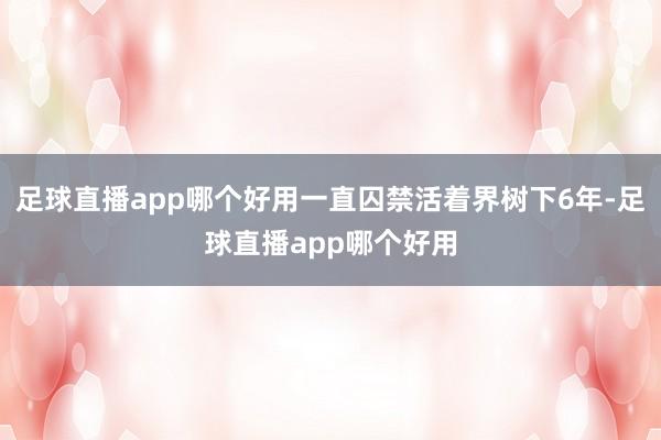 足球直播app哪个好用一直囚禁活着界树下6年-足球直播app哪个好用