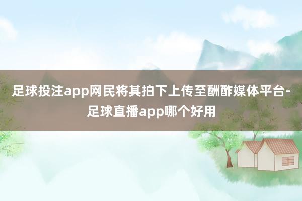 足球投注app网民将其拍下上传至酬酢媒体平台-足球直播app哪个好用