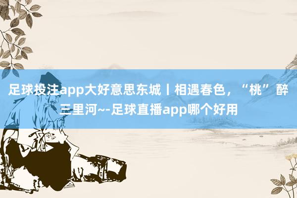 足球投注app大好意思东城丨相遇春色,“桃” 醉三里河~-足球直播app哪个好用