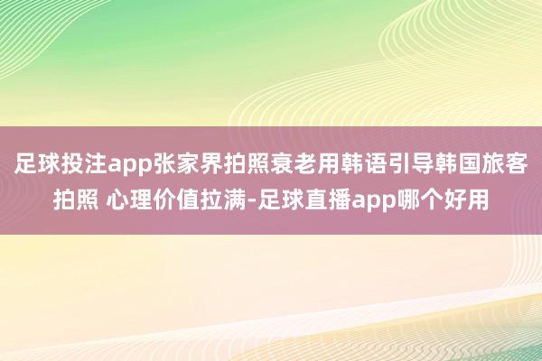 足球投注app张家界拍照衰老用韩语引导韩国旅客拍照 心理价值拉满-足球直播app哪个好用