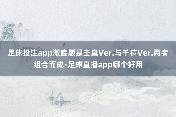足球投注app澈底版是圭臬Ver.与千禧Ver.两者组合而成-足球直播app哪个好用