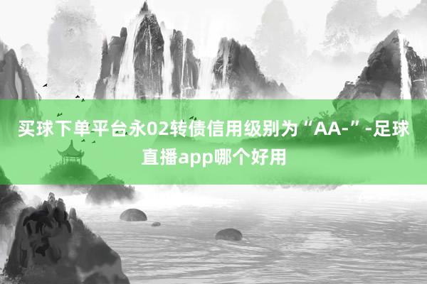 买球下单平台永02转债信用级别为“AA-”-足球直播app哪个好用