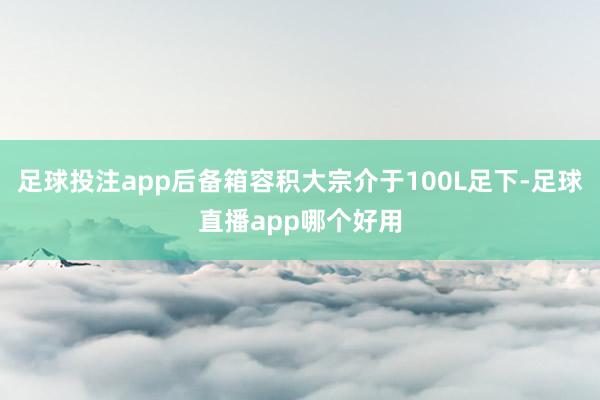 足球投注app后备箱容积大宗介于100L足下-足球直播app哪个好用
