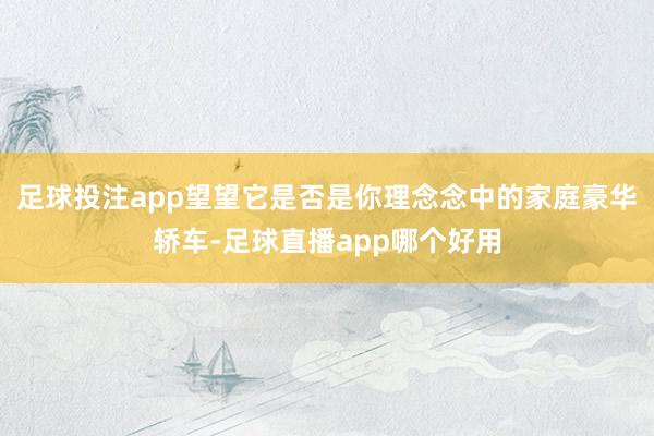 足球投注app望望它是否是你理念念中的家庭豪华轿车-足球直播app哪个好用