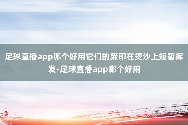 足球直播app哪个好用它们的蹄印在烫沙上短暂挥发-足球直播app哪个好用