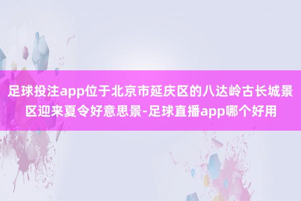 足球投注app位于北京市延庆区的八达岭古长城景区迎来夏令好意思景-足球直播app哪个好用