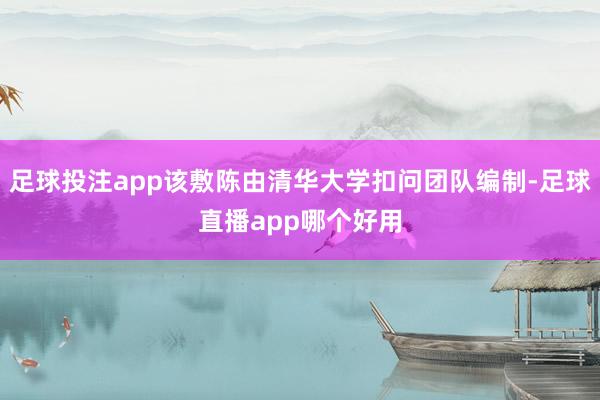 足球投注app该敷陈由清华大学扣问团队编制-足球直播app哪个好用