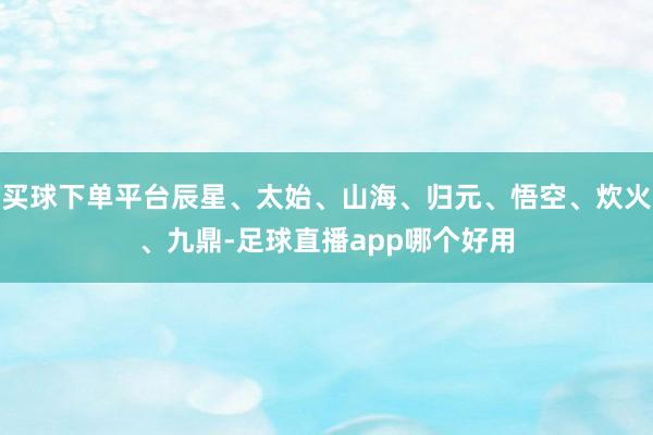 买球下单平台辰星、太始、山海、归元、悟空、炊火、九鼎-足球直播app哪个好用