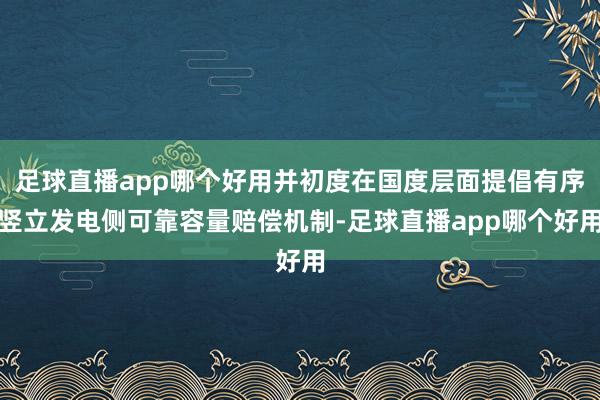 足球直播app哪个好用并初度在国度层面提倡有序竖立发电侧可靠容量赔偿机制-足球直播app哪个好用