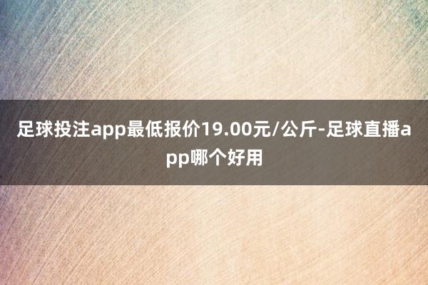 足球投注app最低报价19.00元/公斤-足球直播app哪个好用